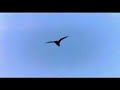 Tarkan Goykuzu -Skylight