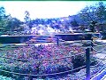 REPORTAJE A CHOTA 4  - CAJAMARCA PERU
