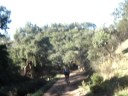 Btt - Bordeira Lagos