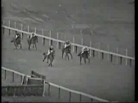 cheltenham gold cup