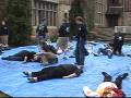 videos de WPI EMS 2008 MCI Drill