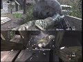 Funny cod4 deaths Funny cod4 deaths