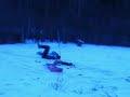 Amature Jackass on Snowracer Amature Jackass on Snowracer