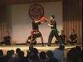Sanda (Kick-Boxen) Bad Krozingen (Budo-Gala Elzach 2006)