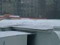 Зима, вороны торжествуя..катаются с горки!