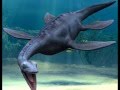 Plesiosaur Sighting