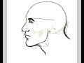 How to draw a face 2 How to draw a face 2