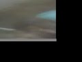 MKTGKINGS.com short films.mov