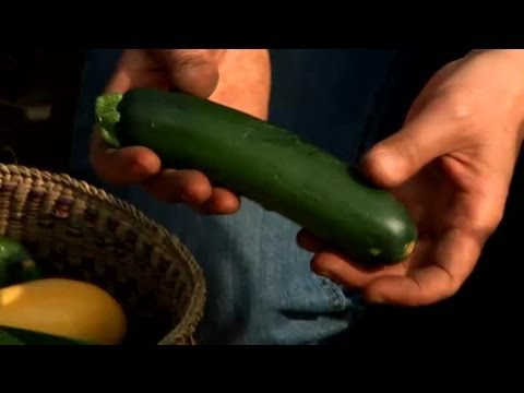 how to collect yellow squash seeds