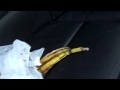 Werdums Messy Car