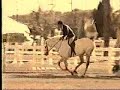 Hunters and Jumpers ~ Fly Without Wings!~