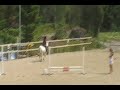 Matilda Pärlan Hölö 40 cm jul-10.wmv