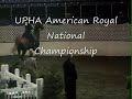Equitated Saddlebred For Sale