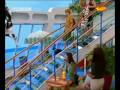 Zack & Cody an Bord (Erster Tag auf hoher See 1/3)
