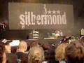 Silbermond - Meer sein - BrandenburgerTor Berlin - 03/10/07