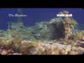 Scuba Travel - Worldwide Holidays