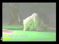 Newaza Kaisen Ju jitsu Ariel  Cartago 2005