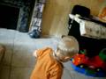 yanis