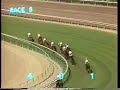 1988 San Jacinto Handicap