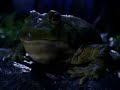 For better or worse, this 1995 Budweiser commercial is still with us.