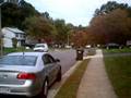 videos de Sweet Gum Video #5