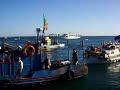 Festa dos Pescadores de Tróia, Setúbal 2008