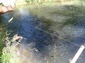 Teiche im Rumohrtal