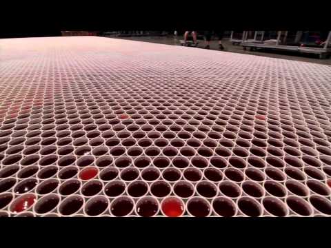 66,000 Cups Of Water + 62 Hours Of Work = One Stunning Result