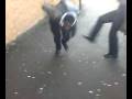 videos de LAWRENCE ATTACKS MATT_NEW.mp4