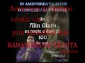 IN-AMINTIREA-LUI-ALI