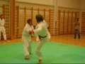 Knockout mawashi geri