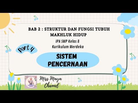 BAB 2 : STRUKTUR DAN FUNGSI TUBUH MAKHLUK HIDUP | Part 4: SISTEM PENCERNAAN | IPA Kelas 8 Kumer