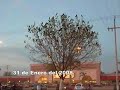 Pajaros en el Boulevard