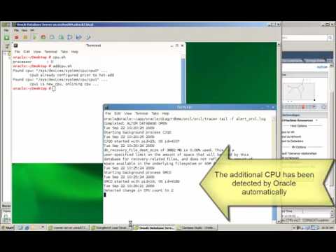 how to apply cpu patch in oracle 11g