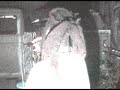 kingsroad reggae, mofire movement!!!

http://www.mofiremovement.com