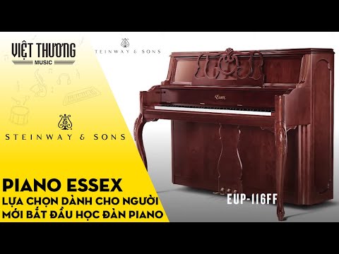 Piano Essex - Lựa chọn dành cho người mới bắt đầu học đàn piano