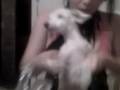 videos de Albino putinho