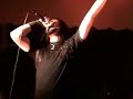 Insighter - Carcass Cover - Rot and Roll