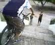 bajada de fider
