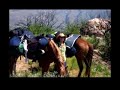 Linda Losey Live! Interviews from the Trail Linda Losey Live! Interviews from the Trail