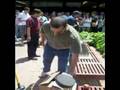 Foothill College Physics Show