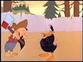 Daffy Weight Gain