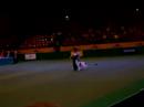 Crufts 2008 - Heelwork to Music 8 (2)