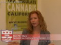 Dale Sky Clare: How Cannabis Legalization Will Deal With Previously Arrested Individuals