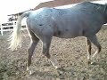 Mounting-Dismounting Mounting-Dismounting