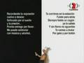 Peter Capusotto - La música del fútbol, con Virus y Almendra