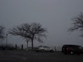 The Snow FOG part 2