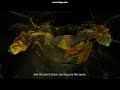 Halo 2 - Gravemind