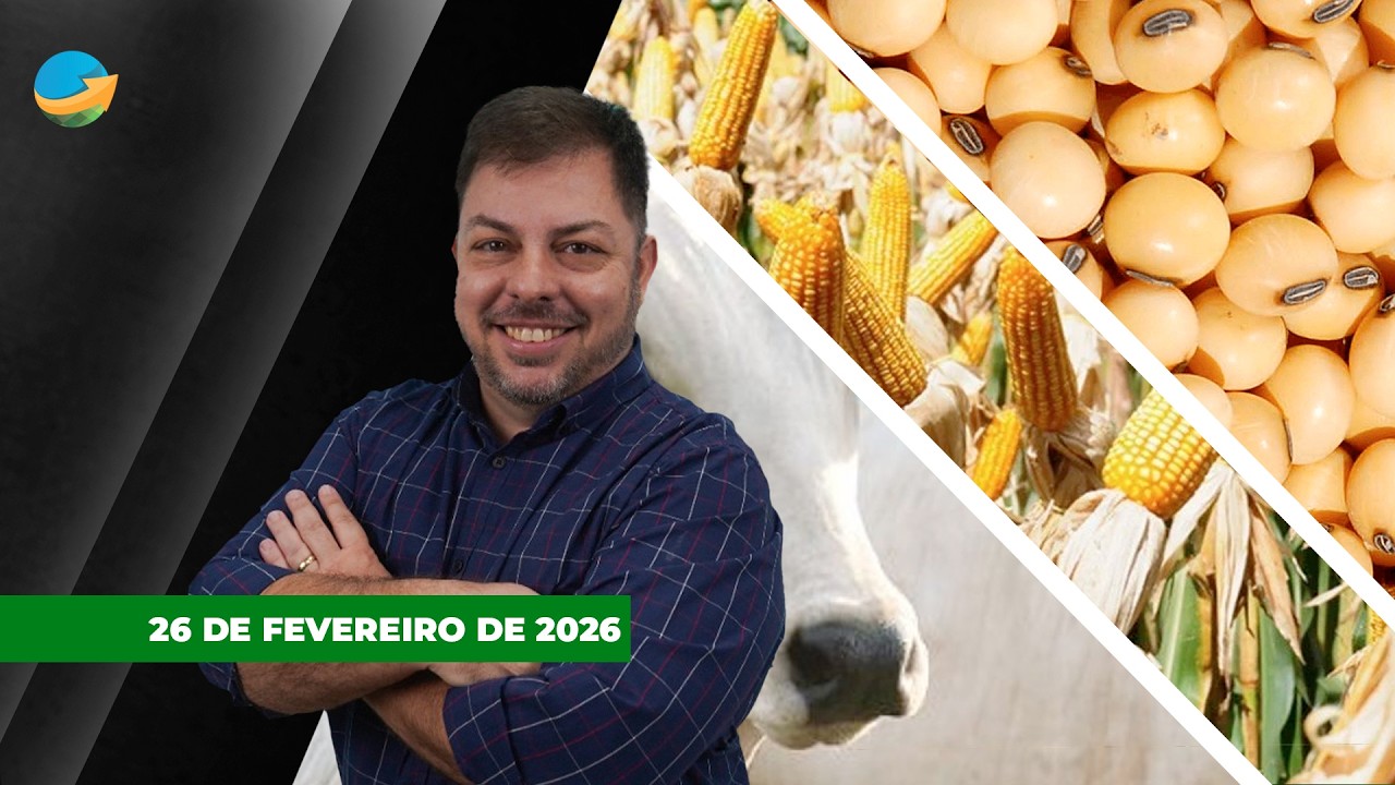 FECHAMENTO DE MERCADO -EDIÇÃO 26-02-2026