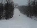 Oltman Wipeout